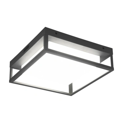 LED nástěnné venkovní svítidlo (výška 10 cm) Witham – Trio