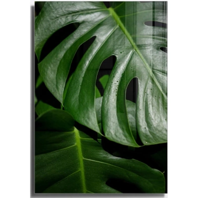 Skleněný obraz 70x100 cm Monstera – Wallity