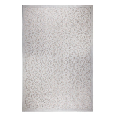 Šedý venkovní koberec 170x120 cm Argento - Flair Rugs